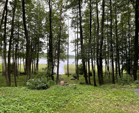 Sodybos nuoma (prie Ilgio ežero) / Rasa St. / Darbų pavyzdys ID 3978931