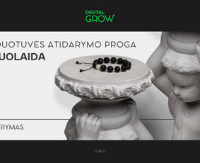 Svetainė per 3d. + 70€ vertės dovana! / Elvinas Žiukelis / Darbų pavyzdys ID 3979063