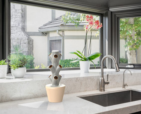 3d spausdinimas / Projektavimo paslaugos / Paulius Juostas / Pruota Dėrbtovis / Darbų pavyzdys ID 3979133