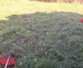 Sklypų lyginimas.vejos irengimas apželdinimo darbai / MB MANTEO / Darbų pavyzdys ID 3979949