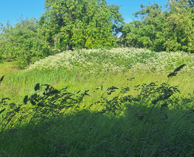 Tvenkinių, prūdų kasimas, valymas - Sklypų lyginimas.vejos irengimas apželdinimo darbai - 3
