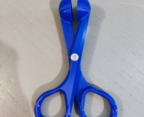 3d spausdinimas, maketavimas / Mindaugas Staniulis / Darbų pavyzdys ID 3980265