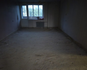 Griovimo darbai šiukšliu išvežimas / Audrius / Darbų pavyzdys ID 3980361