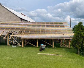 Senu Mediniu,muriniu Namu renovacija rekonstrukcija. / Vitalijus / Darbų pavyzdys ID 3980539
