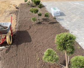 Aplinka, sodas - Vejos Įrengimas Ir Aplinkos Tvarkymas - 3