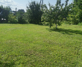 Žolės Pjovimas Su Trimeriu Ir Žoliapjove / Mindaugas / Darbų pavyzdys ID 3980973