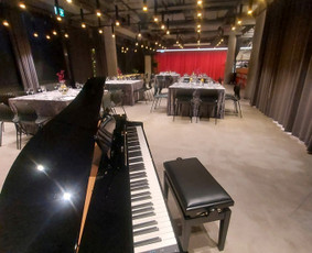Džiazo pianistas ir grupė / Linas Karaliūnas / Darbų pavyzdys ID 3983699