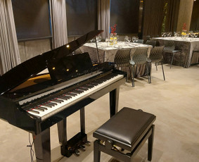 Džiazo pianistas ir grupė / Linas Karaliūnas / Darbų pavyzdys ID 3983703