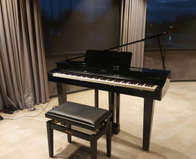 Džiazo pianistas ir grupė / Linas Karaliūnas / Darbų pavyzdys ID 3983707
