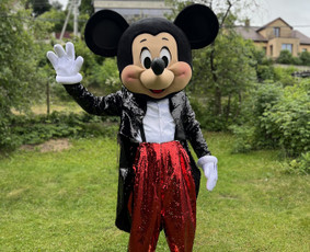 Party Bear Lt - sveikinimus nuo meškiukų ir Mickey - Renginių organizavimas - 2 Renginių organizavimas - Party Bear Lt - sveikinimus nuo meškiukų ir Mickey - 2
