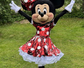 Party Bear Lt - sveikinimus nuo meškiukų ir Mickey - Renginių organizavimas - 1 Renginių organizavimas - Party Bear Lt - sveikinimus nuo meškiukų ir Mickey - 1