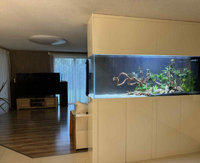 Akvariumų gamyba - Akvariumų specialistai - 1 Akvariumų specialistai - Akvariumų gamyba - 1