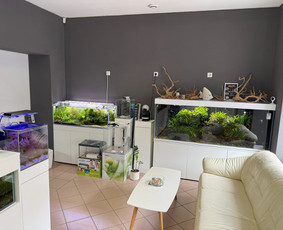 Akvariumų gamyba - Akvariumų specialistai - 4 Akvariumų specialistai - Akvariumų gamyba - 4