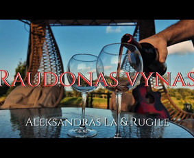 Muzikantai, dainininkai, grupės - Aleksandras La & Rugilė Vedėjas, Atlikėjai, Muzikantai - 2