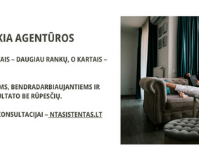 Kitos kategorijos - NT Asistentas - 1