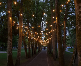 Kj Led girliandų nuoma jūsų šventėms Klaipėda - Garso aparatūros nuoma - 3 Garso aparatūros nuoma - Kj Led girliandų nuoma jūsų šventėms Klaipėda - 3