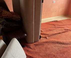 Teikiame įvairias pervežimo ir pagalbines paslaugas / Universalūs darbai / Darbų pavyzdys ID 3986381