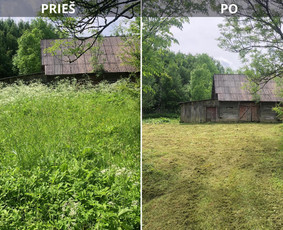 Sklypų tvarkymas, medžių, krūmų pjovimas, genėjimas. / Audrius / Darbų pavyzdys ID 3986689