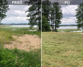 Žolės pjovimas - Medžių, krūmų pjovimas, genėjimas, apleistų sklypų tvarkymas - 2