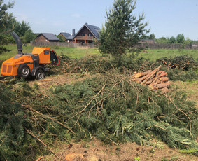 Aplinka, sodas - Medžių, krūmų pjovimas, genėjimas, apleistų sklypų tvarkymas - 3