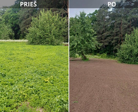 Apleistų sklypų tvarkymas, žemės frezavimas. vejos paruošima - Vejos priežiūra, įrengimas - 3 Vejos priežiūra, įrengimas - Apleistų sklypų tvarkymas, žemės frezavimas. vejos paruošima - 3