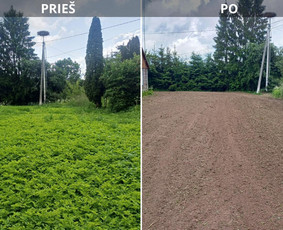 Apleistų sklypų tvarkymas, žemės frezavimas. vejos paruošima - Vejos priežiūra, įrengimas - 2 Vejos priežiūra, įrengimas - Apleistų sklypų tvarkymas, žemės frezavimas. vejos paruošima - 2