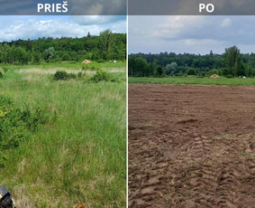 Apleistų sklypų tvarkymas, žemės frezavimas. vejos paruošima - Vejos priežiūra, įrengimas - 1 Vejos priežiūra, įrengimas - Apleistų sklypų tvarkymas, žemės frezavimas. vejos paruošima - 1