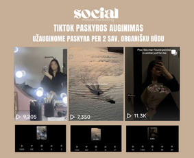 Socialinių Tinklų Administravimas - Socialinių tinklų marketingas (Social media marketing) - 4 Socialinių tinklų marketingas (Social media marketing) - Socialinių Tinklų Administravimas - 4