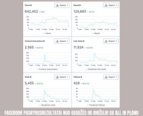 Socialinių Tinklų Administravimas / Socialinių tinklų marketingas / Darbų pavyzdys ID 3987511
