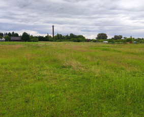 Pievų &scaron;ienavimas - Žolės, pievų pjovimas,mulčiavimas. - 4