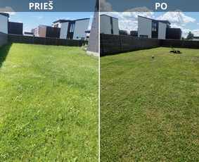 Žolės Pjovimas Su Trimeriu Ir Žoliapjove / Mindaugas / Darbų pavyzdys ID 3987831
