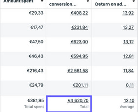 Meta Ads, Google Ads - maksimali grąža iš reklamos / Modesta Briedytė / Darbų pavyzdys ID 3987833