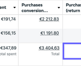 Meta Ads, Google Ads - maksimali grąža iš reklamos / Modesta Briedytė / Darbų pavyzdys ID 3987835