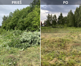 Sklypų tvarkymas: medžių ir krūmų pjovimas su išvežimu. / Albertas Rakuckis / Darbų pavyzdys ID 3988369