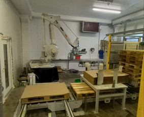 Pramonės robotizacija, automatizacija / Laurynas Kunčiūnas / Darbų pavyzdys ID 3988735