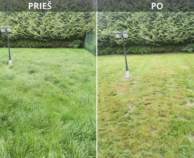 Žolės Pjovimas Su Trimeriu Ir Žoliapjove / Mindaugas / Darbų pavyzdys ID 3989193