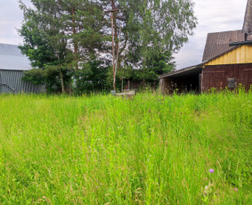 Aplinka, sodas - Žolės, pievų pjovimas,mulčiavimas. - 4