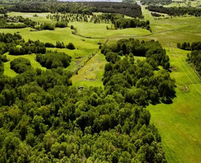 Kitos kategorijos - NT brokeris Tomas - 2