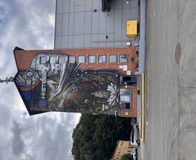 Tapyba ant sienų, Grafiti piešimas - Sienų dekoravimas - 3 Sienų dekoravimas - Tapyba ant sienų, Grafiti piešimas - 3