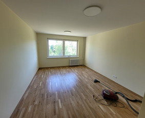 Greitai, nebrangiai, ir kokybiskai / Vaidas Lapiniauskas / Darbų pavyzdys ID 3990571