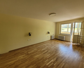 Greitai, nebrangiai, ir kokybiskai / Vaidas Lapiniauskas / Darbų pavyzdys ID 3990581