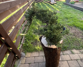 Avarinių medžių pjovimas/ žolės pjovimas. / Arboristas Egidijus / Darbų pavyzdys ID 3990655