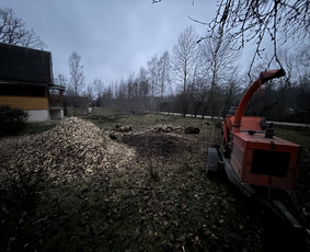 Avarinių medžių pjovimas/ žolės pjovimas. / Arboristas Egidijus / Darbų pavyzdys ID 3990671