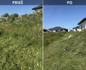 Žolės ir vejos pjovimas . Lapų surinkimas / Vytautas Giniotas / Darbų pavyzdys ID 3991427