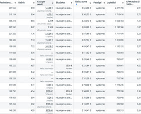 Facebook, Google, Tiktok reklama - grąža paremta skaičiais / Kasparas Getautis | Pro Ads / Darbų pavyzdys ID 3992901