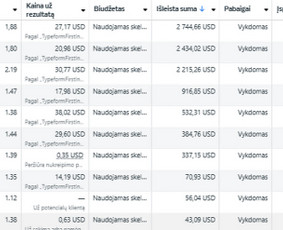 Facebook, Google, Tiktok reklama - grąža paremta skaičiais / Kasparas Getautis | Pro Ads / Darbų pavyzdys ID 3992903