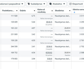 Facebook, Google, Tiktok reklama - grąža paremta skaičiais / Kasparas Getautis | Pro Ads / Darbų pavyzdys ID 3993557