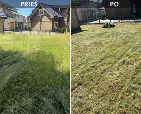 Žolės ir vejos pjovimas vėjapjove ir trimeriu. - Žolės pjovimas - 3 Žolės pjovimas - Žolės ir vejos pjovimas vėjapjove ir trimeriu. - 3