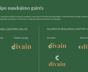 Kūrybiškas grafikos dizainas: nuo idėjos iki rezultato / MB Grafinio dizaino sprendimai / Darbų pavyzdys ID 3994673
