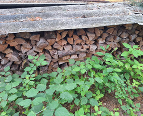 Malkos sausos skaldytos - Aplinka, sodas - 3 Aplinka, sodas - Malkos sausos skaldytos - 3